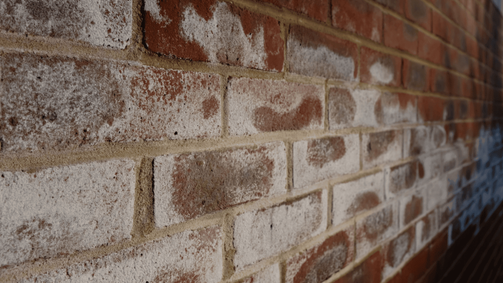 Efflorescence Treatment