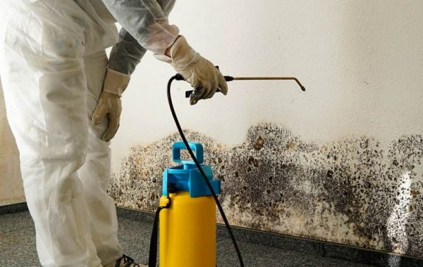 Mould Treatment Australia