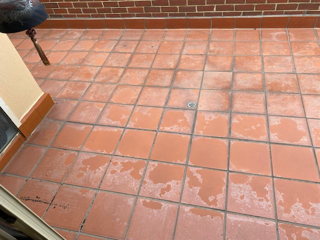 Terracotta Cleaning, Stripping & Sealing